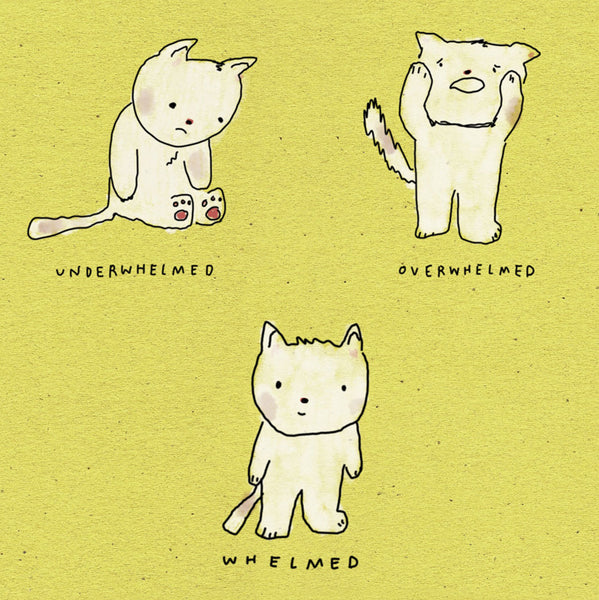 I Wish You Whelmed Card